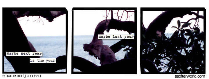 maybe next year is the year // maybe last year