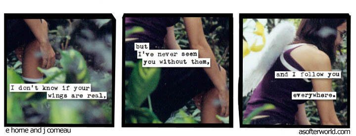 i don't know if your wings are real, // but i've never seen you without them, // and i follow you everywhere.